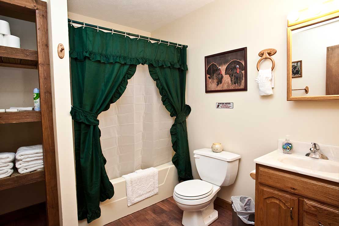 Cabin bathroom with tub and shower combo